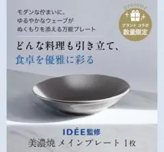 〈新品未使用〉アテニア IDÉE監修 美濃焼メインプレート 皿のサムネイル