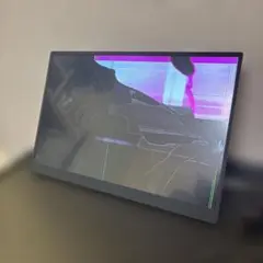 VAIO バイオ モバイルディスプレイ Vision＋ 14 ジャンク品