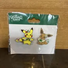 ポケパークカントー ピカチュウ イーブイ カーニバル衣装 キーホルダー