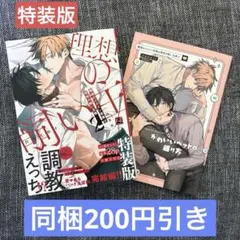 職場のイケメン営業は理想の飼い主様 2 特装版 nocori