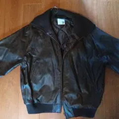 Item thumbnail for item ccddfadd-7d56-4754-b204-441efadf3232