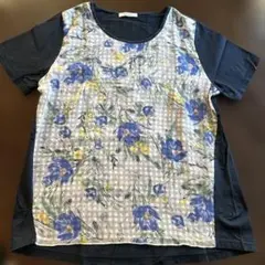 Item thumbnail for item 3810caf5-ed51-4f69-a44a-a98faab383bb