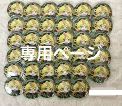 ぷりすなー様専用