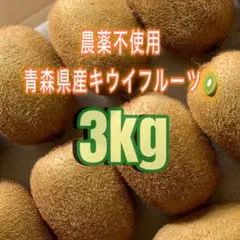 青森県産　農薬不使用　キウイフルーツ　箱込み3kg (26個)