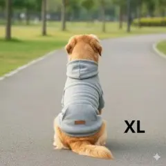 Item thumbnail for item 34e4b241-8c56-4679-8849-ae41bf87f87d