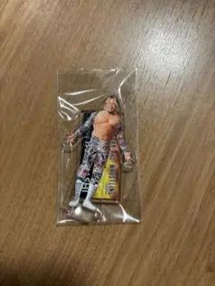 2026年最新】棚橋 アクリルスタンドの人気アイテム - メルカリ