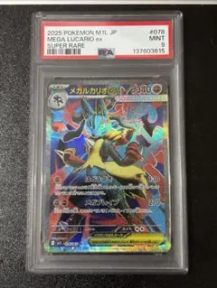 2026年最新】メガルカリオex psa10の人気アイテム - メルカリ
