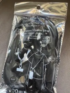 スタンダードプロダクツ 保冷エコバッグ くしゅっとエコバッグ セット