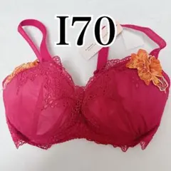 Item thumbnail for item 413c4155-01ff-4ff0-b77e-abcfd77ca6c9