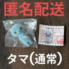 教育番組 フロッキーフィギュア タマ ガチャ