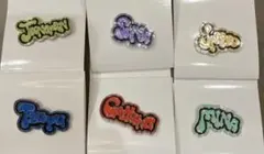 TWICE ランダムピンバッジ 6点セット