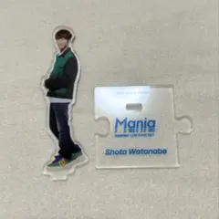 SnowMan 渡辺翔太 Mania アクスタ