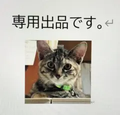 うさみ様専用ページ