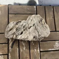 Item thumbnail for item c2ea8ede-f967-4650-b2b8-3a2cb86abafa