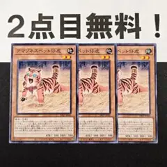 14490 遊戯王 アマゾネスペット仔虎 ノーマル 2点目無料 DP27