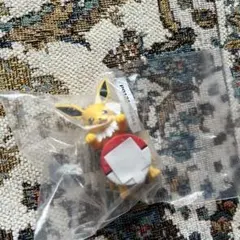 ポケモン サンダース