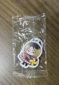 くら寿司　ハイキュー　孤爪研磨　めじるしチャーム　ガチャ