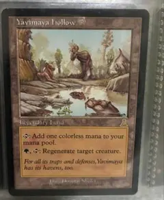 2025年最新】ヤヴィマヤのうろ穴の人気アイテム - メルカリ