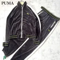 プーマ ジャージ セットアップ 上下 ベロア ライン ロゴ 大きいサイズ O/L