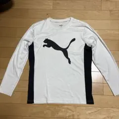 Item thumbnail for item 59bd36f8-cce0-47d0-bd4d-734daea6dbfd