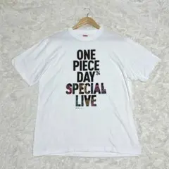 完売品 ワンピース Tシャツ 限定 Lサイズ