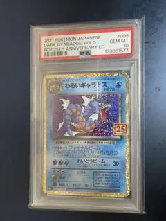 2026年最新】わるいギャラドス 25th psa10の人気アイテム - メルカリ