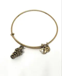 Alex and Ani ブレスレット ゴールドカラー 葡萄 USA製 バングル