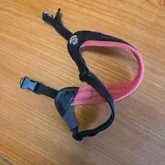 Item thumbnail for item 03e5a337-8002-46a3-9fe4-bbb77337557d