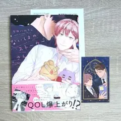 あやかしごはん ～おおもりっ！ switch ステラワース 小冊子 CD - メルカリ