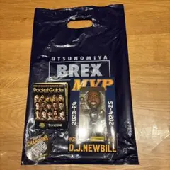 宇都宮ブレックス D.J.ニュービル MVPフィギュア セット