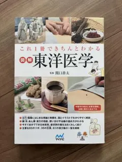 これ1冊できちんとわかる図解東洋医学 関口善太