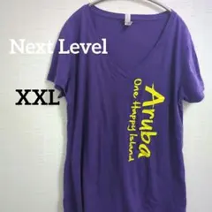 Vネック 半袖 Tシャツ XXL 大きいサイズ 紫 ユニセックス