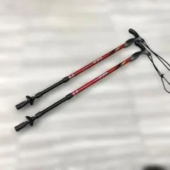 Item thumbnail for item 54c05e81-325e-412d-8853-10ece53f5e2a