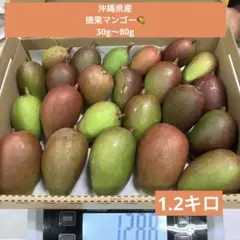 マンゴー(摘果マンゴー)青マンゴー グリーンマンゴー 1.2kg - メルカリ