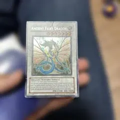 Ancient Fairy Dragon ANPR-EN040