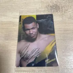 Item thumbnail for item 34e0b5a5-6c74-4b06-92f1-85a6509c097b