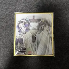 鬼滅の刃 WEBSHOPくじ アクリル色紙 胡蝶しのぶ 栗花落カナヲ B33