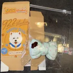922studioくににスタジオ 夏の限定リボンデザインスクイーズ チョコミント