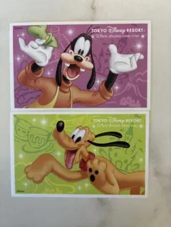 【使用済み】東京ディズニーリゾート チケット 2枚セット