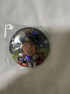 山川穂高選手 缶バッジ 若鷹ガチャ 福岡ソフトバンクホークス 5 - メルカリ