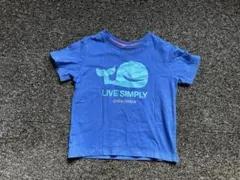 Patagonia 青 Tシャツ サイズ6〜12M
