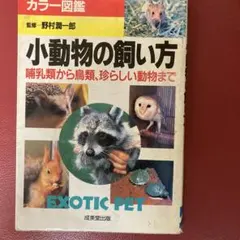 小動物の飼い方 エキゾチックペット