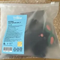 BOYNEXTDOOR プネクド ハンテップン テサン キーリング