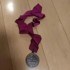 東京ディズニーランド シンデレラ城ミステリーツアー　記念メダル