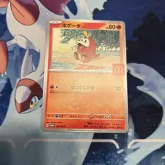 ホゲータ マクドナルド　コラボ