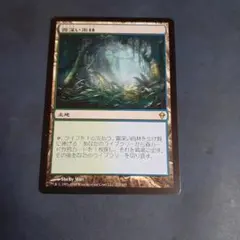 mtg 霧深い雨林 ZEN 中国語 - メルカリ