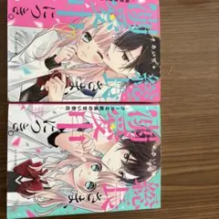 総長さま、溺愛中につき。1.2セット