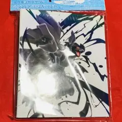 ポケモンカード コレクションファイルプレミアム ブラックボルト ホワイトフレア