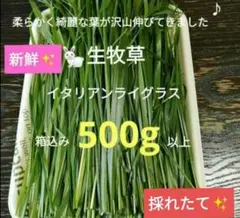 なし様専用 無農薬生牧草セット - メルカリ