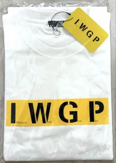 【新品未開封】IWGP medicom toy フォトTシャツ　窪塚　キング